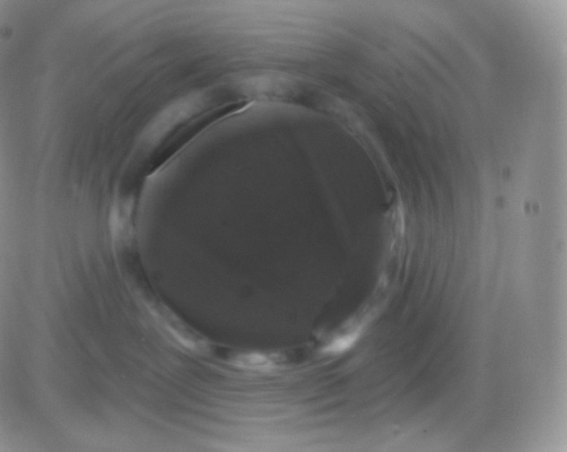 X0000083050239200702232003