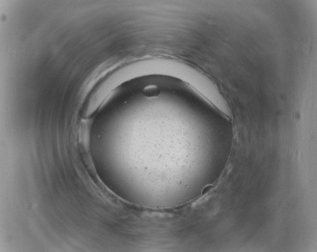 X0000083050242200702232003