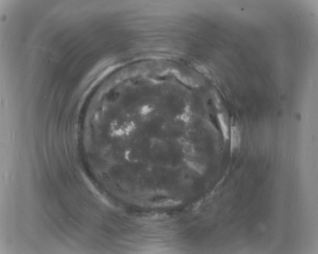 X0000083050243200702232003