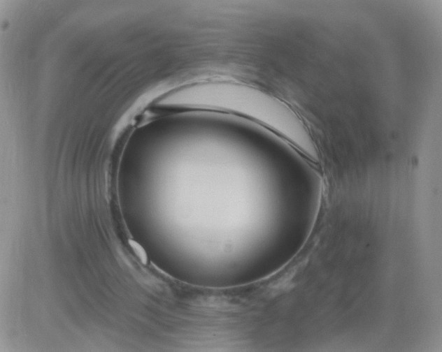 X0000083050244200702232003