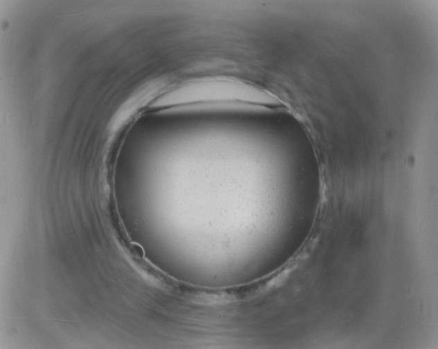 X0000083050245200702232003