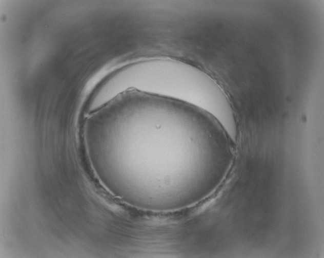 X0000083050246200702232003