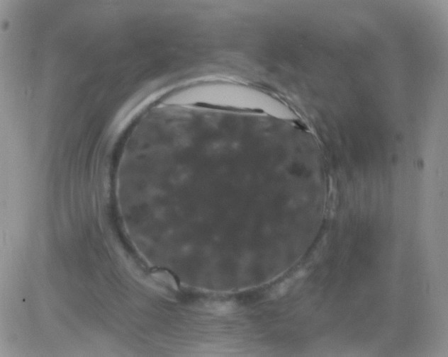 X0000083050247200702232003