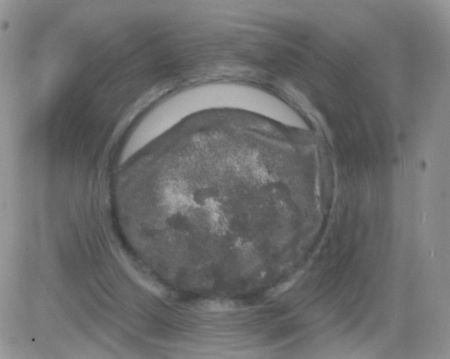 X0000083050250200702232003