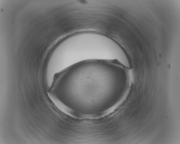 X0000083050252200702232003