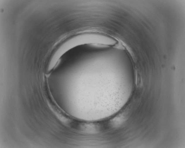 X0000083050253200702232003