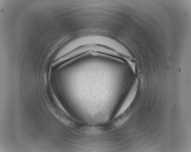 X0000083050254200702232003