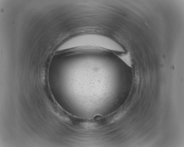 X0000083050255200702232003