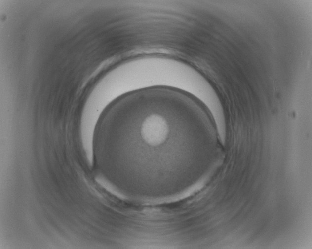 X0000083050256200702232003