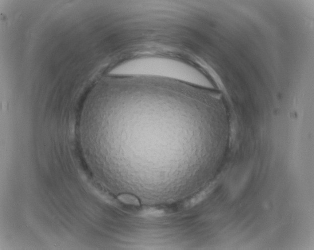 X0000083050257200702232003