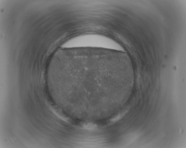 X0000083050258200702232003