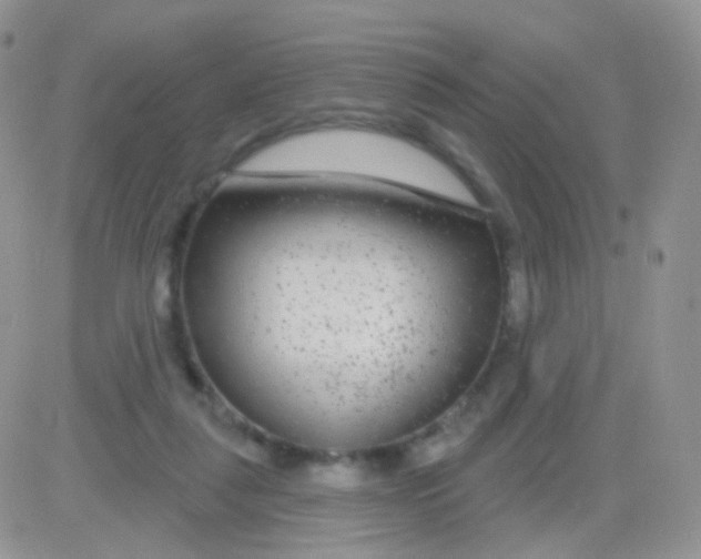 X0000083050259200702232003