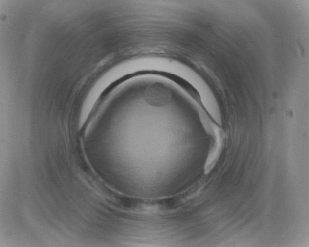 X0000083050260200702232003