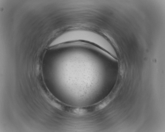 X0000083050261200702232003