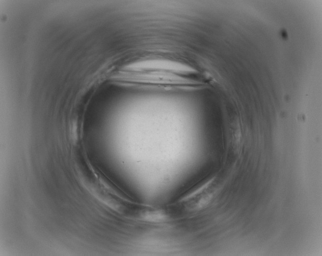 X0000083050262200702232003