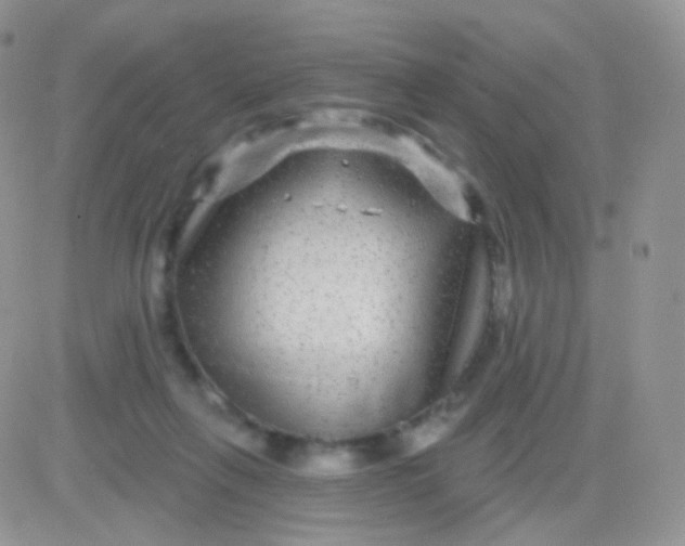 X0000083050263200702232003