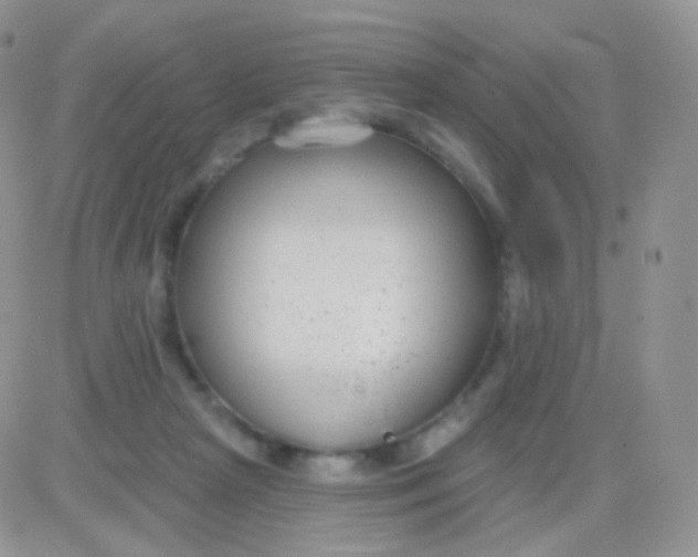 X0000083050265200702232003