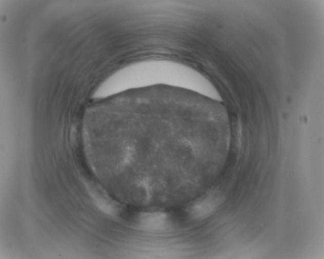 X0000083050266200702232003