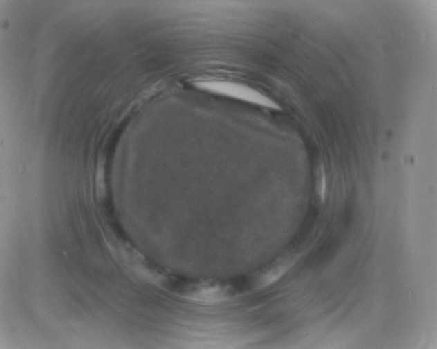 X0000083050267200702232003