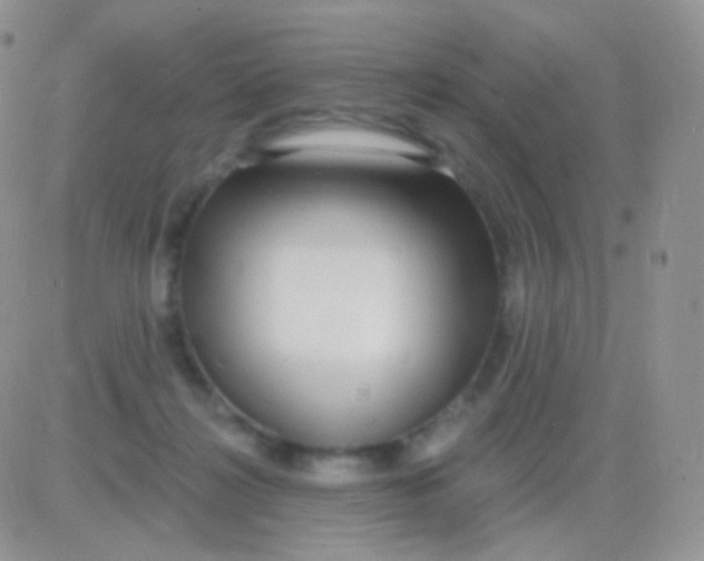 X0000083050268200702232003