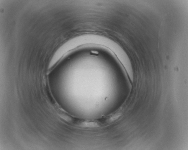 X0000083050270200702232003