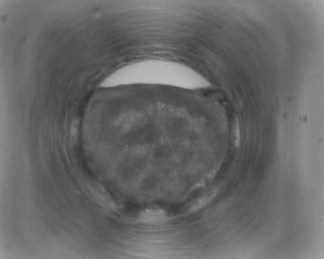 X0000083050271200702232003