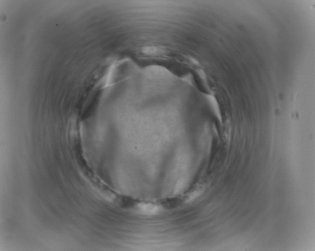 X0000083050272200702232003