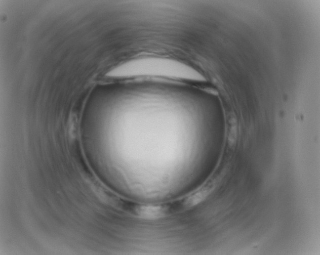 X0000083050273200702232003