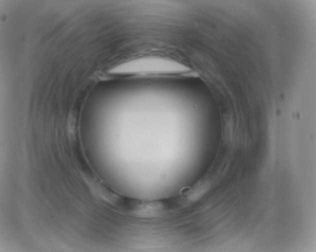 X0000083050274200702232003