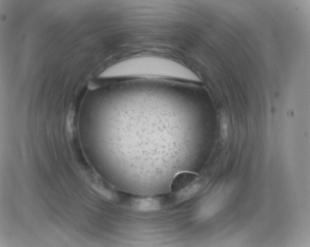 X0000083050275200702232003