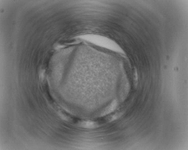 X0000083050276200702232003