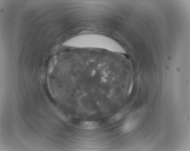 X0000083050277200702232003