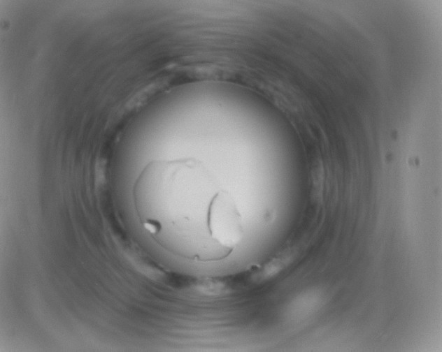 X0000083050278200702232003