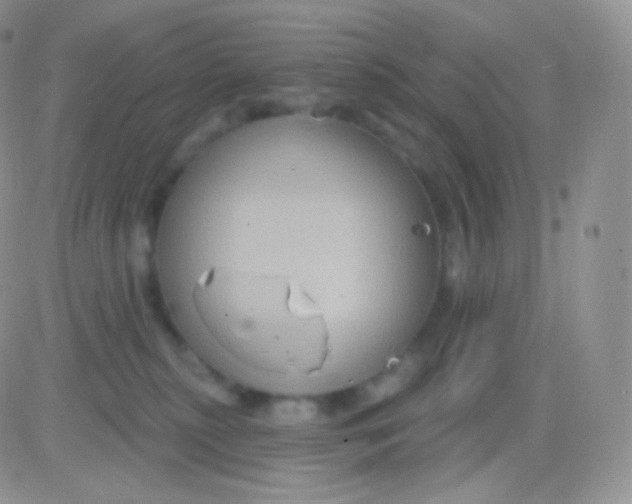 X0000083050279200702232003