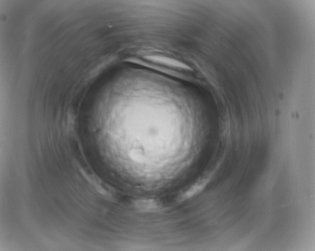 X0000083050281200702232003