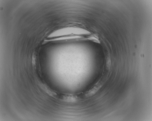 X0000083050282200702232003