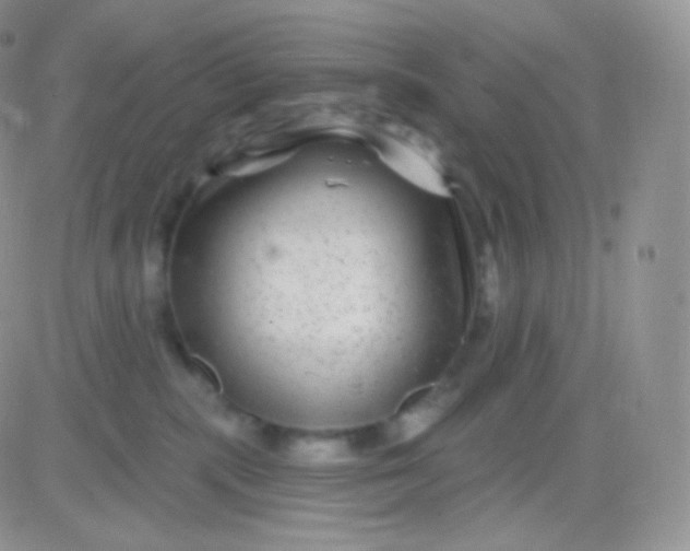 X0000083050283200702232003