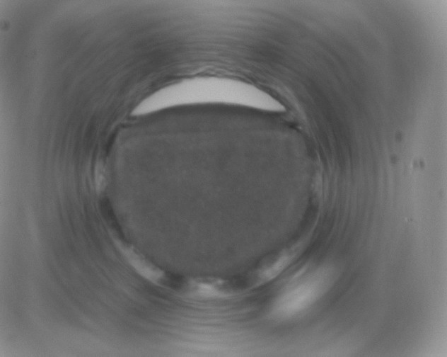 X0000083050285200702232003