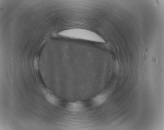 X0000083050286200702232003