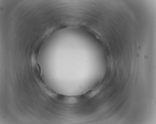 X0000083050287200702232003