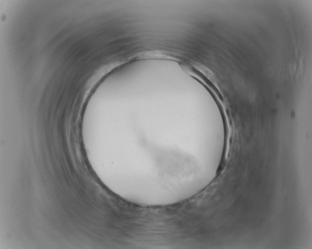 X0000083050289200702232003