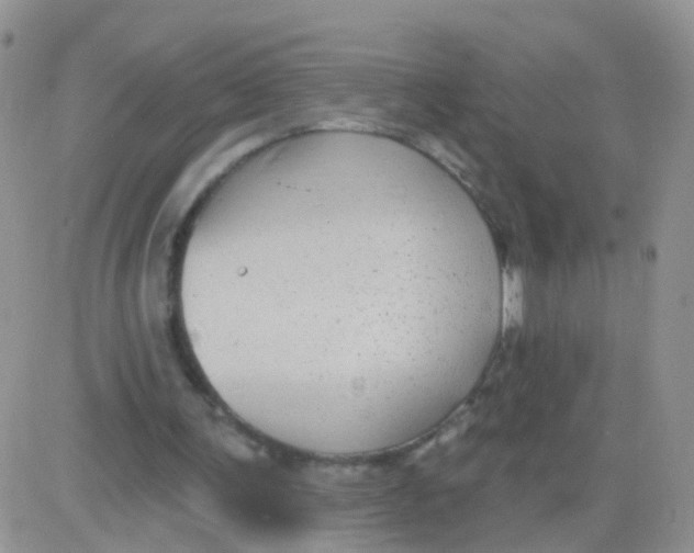 X0000083050291200702232003