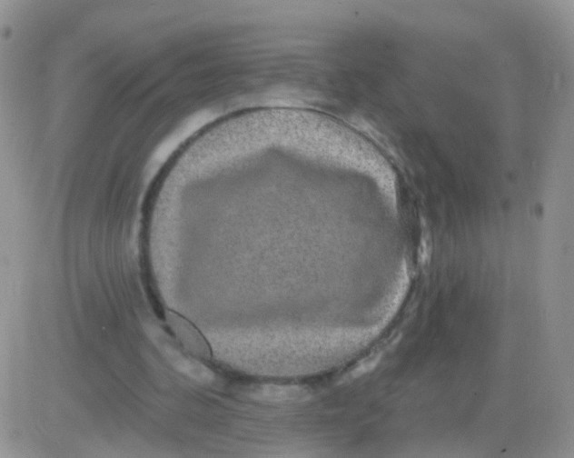 X0000083050292200702232003