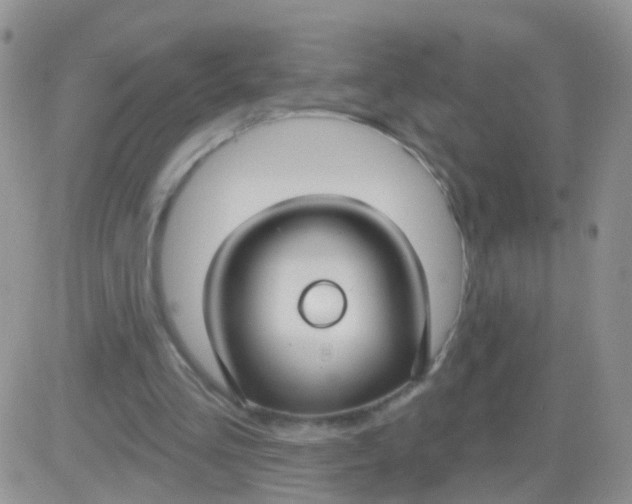 X0000083050293200702232003