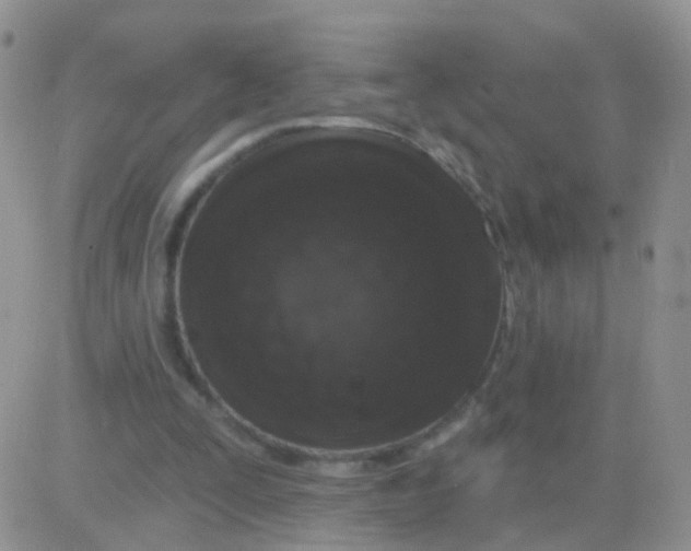 X0000083050295200702232002