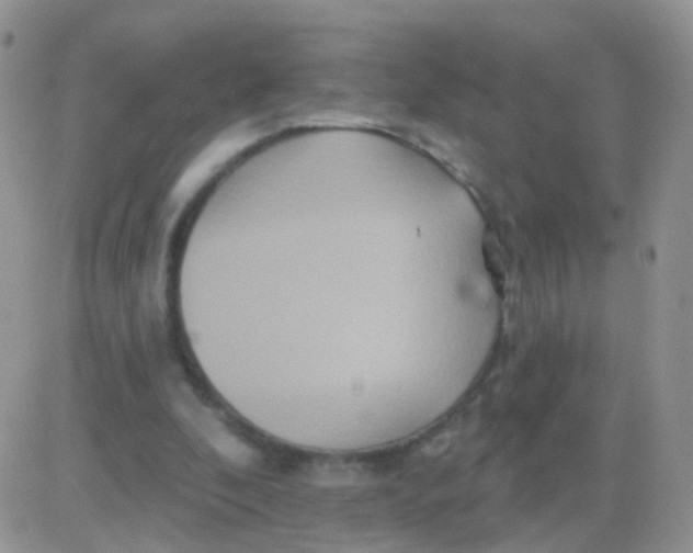 X0000083050296200702232002