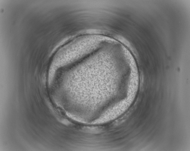 X0000083050297200702232002