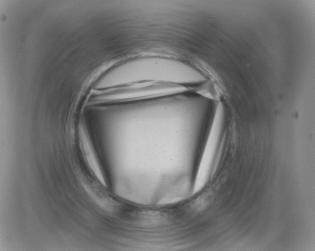 X0000083050298200702232002