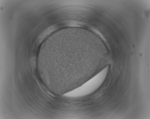 X0000083050299200702232002