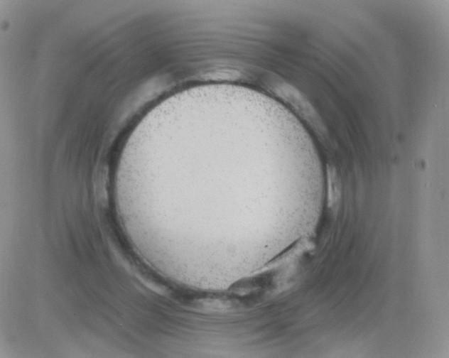 X0000083050300200702232002